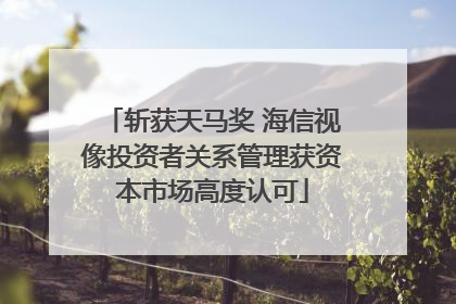 斩获天马奖 海信视像投资者关系管理获资本市场高度认可