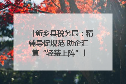 新乡县税务局：精辅导促规范 助企汇算“轻装上阵”