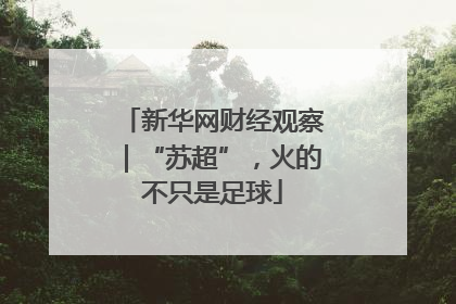 新华网财经观察｜“苏超”，火的不只是足球
