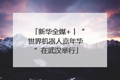 新华全媒+丨“世界机器人嘉年华”在武汉举行