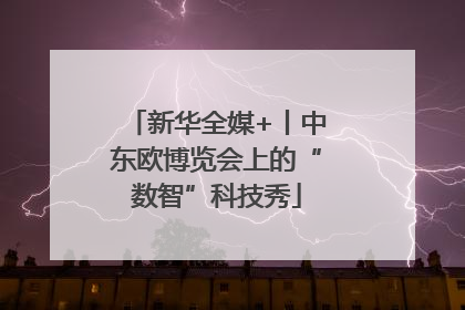 新华全媒+丨中东欧博览会上的“数智”科技秀