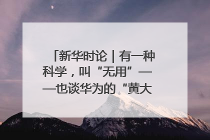 新华时论｜有一种科学，叫“无用”——也谈华为的“黄大年茶思屋”