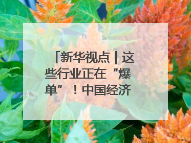 新华视点｜这些行业正在“爆单”！中国经济活力密码