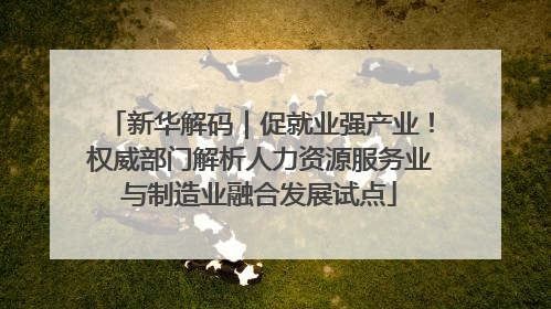 新华解码｜促就业强产业！权威部门解析人力资源服务业与制造业融合发展试点