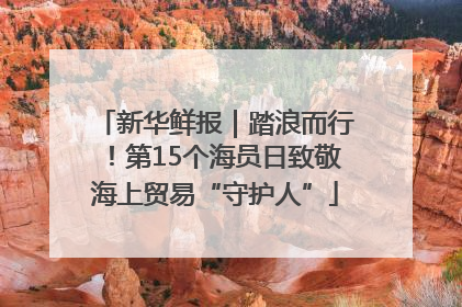 新华鲜报｜踏浪而行！第15个海员日致敬海上贸易“守护人”
