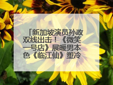 新加坡演员孙政双线出击！《微笑一号店》展暖男本色《临江仙》塑冷酷龙渊