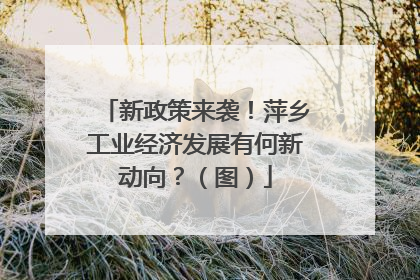 新政策来袭！萍乡工业经济发展有何新动向？（图）