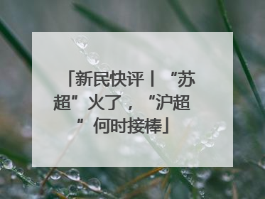 新民快评丨“苏超”火了，“沪超”何时接棒