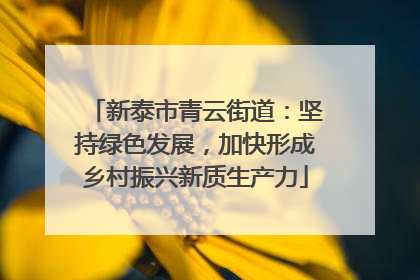 新泰市青云街道：坚持绿色发展，加快形成乡村振兴新质生产力