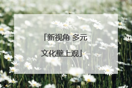 新视角 多元文化壁上观