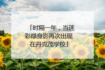 时隔一年，当迷彩绿身影再次出现在丹克茂学校