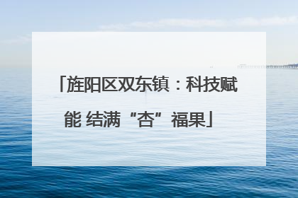 旌阳区双东镇：科技赋能 结满“杏”福果