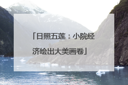 日照五莲：小院经济绘出大美画卷