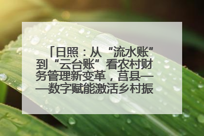 日照：从“流水账”到“云台账”看农村财务管理新变革，莒县——数字赋能激活乡村振兴“一池春水”