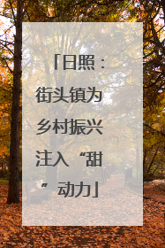 日照：街头镇为乡村振兴注入“甜”动力