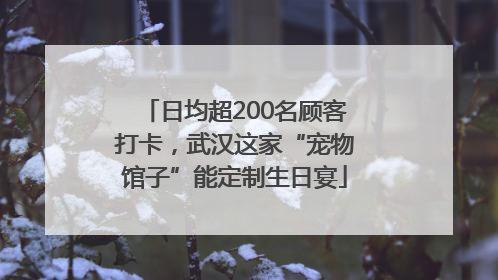 日均超200名顾客打卡，武汉这家“宠物馆子”能定制生日宴