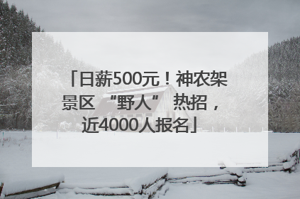 日薪500元！神农架景区 “野人” 热招，近4000人报名