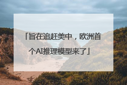 旨在追赶美中，欧洲首个AI推理模型来了