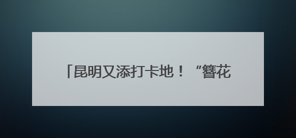 昆明又添打卡地！“簪花少女”火出圈——有一种叫云南的生活之365天