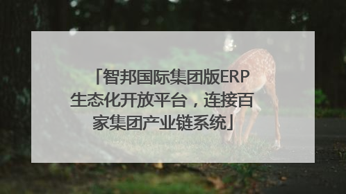 智邦国际集团版ERP生态化开放平台，连接百家集团产业链系统