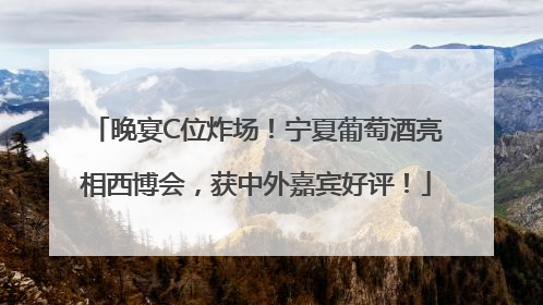 晚宴C位炸场！宁夏葡萄酒亮相西博会，获中外嘉宾好评！