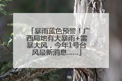 暴雨蓝色预警！广西局地有大暴雨+雷暴大风，今年1号台风最新消息……