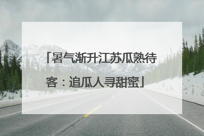 暑气渐升江苏瓜熟待客：追瓜人寻甜蜜