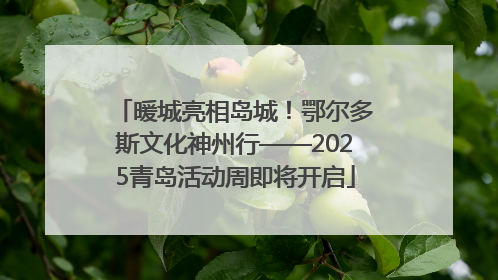 暖城亮相岛城！鄂尔多斯文化神州行——2025青岛活动周即将开启