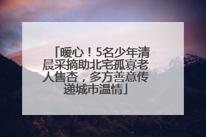 暖心！5名少年清晨采摘助北宅孤寡老人售杏，多方善意传递城市温情