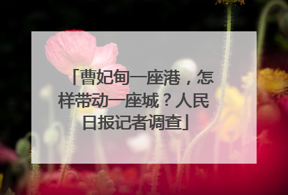 曹妃甸一座港，怎样带动一座城？人民日报记者调查