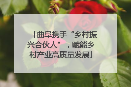 曲阜携手“乡村振兴合伙人”，赋能乡村产业高质量发展