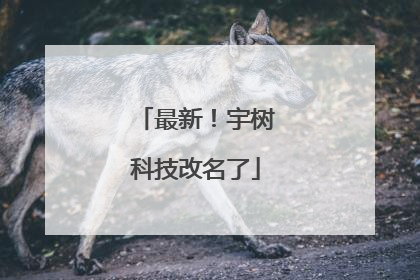 最新！宇树科技改名了