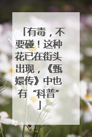 有毒，不要碰！这种花已在街头出现，《甄嬛传》中也有“科普”