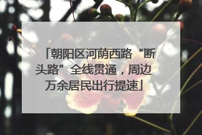 朝阳区河荫西路“断头路”全线贯通，周边万余居民出行提速