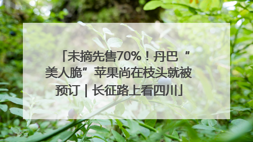 未摘先售70%！丹巴“美人脆”苹果尚在枝头就被预订｜长征路上看四川