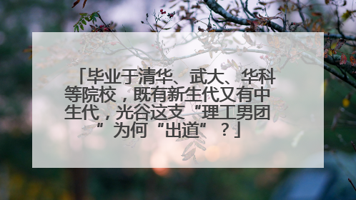 毕业于清华、武大、华科等院校，既有新生代又有中生代，光谷这支“理工男团”为何“出道”？