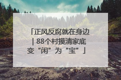 正风反腐就在身边｜88个村摸清家底变“闲”为“宝”