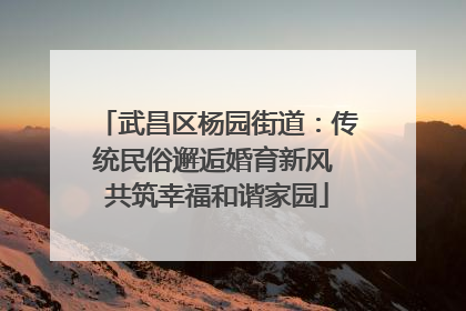 武昌区杨园街道：传统民俗邂逅婚育新风 共筑幸福和谐家园