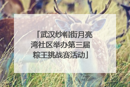 武汉纱帽街月亮湾社区举办第三届粽王挑战赛活动