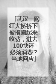武汉一网红大桥桥下被指圈起来收费，进去100块还必须消费？当地回应