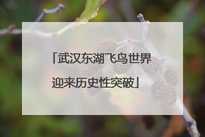 武汉东湖飞鸟世界迎来历史性突破