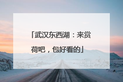 武汉东西湖：来赏荷吧，包好看的