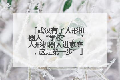 武汉有了人形机器人“学校”，“人形机器人进家庭，这是第一步”