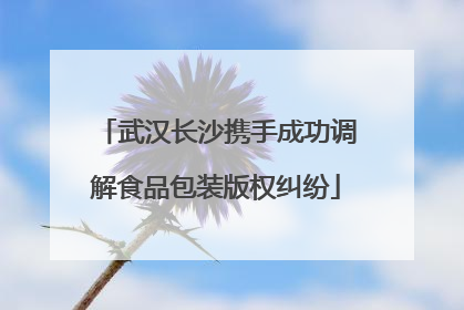 武汉长沙携手成功调解食品包装版权纠纷