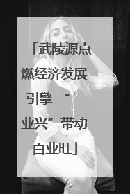 武陵源点燃经济发展引擎 “一业兴”带动百业旺
