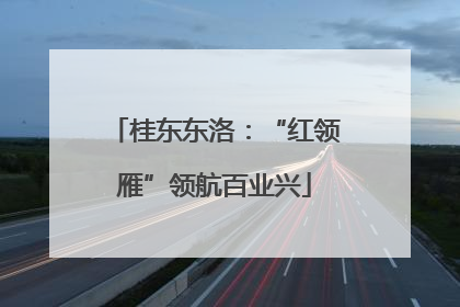 桂东东洛：“红领雁”领航百业兴
