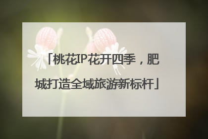 桃花IP花开四季，肥城打造全域旅游新标杆
