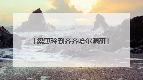 梁惠玲到齐齐哈尔调研