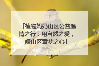 植物妈妈山区公益温情之行：用自然之爱，暖山区童梦之心