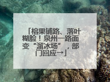 榕果铺路、落叶糊脸！泉州一路面变“溜冰场”，部门回应→